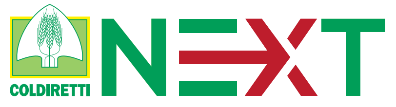 logo_next